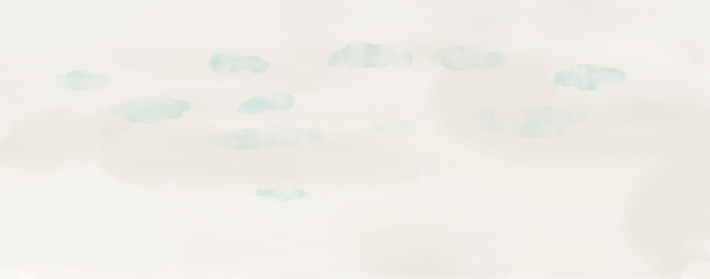 Skies